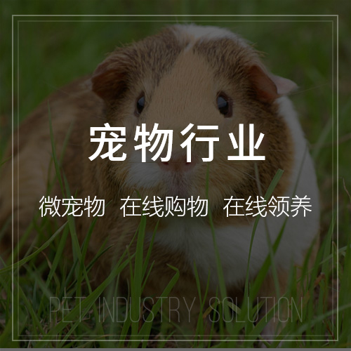 报修系统如何提升常州社区管理的响应速度