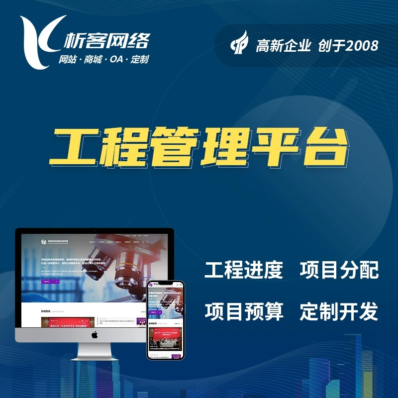 政府网站定制在常州数字化政务中的实践